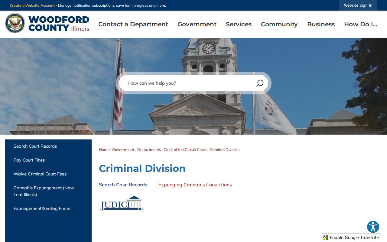 Woodford County court case Criminal Division codes